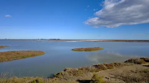 Ebro Delta, photo of the place