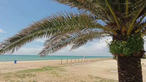 Pineda de Mar, photo of the place