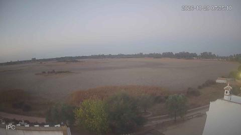 El Rocío: “The marsh of El Rocío” camera