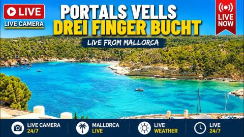Magaluf: “Three Fingers Bay, Sol de Mallorca” camera