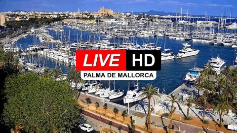 Palma: “Cathedral from the Paseo Marítimo” camera