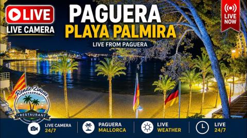 Peguera (Paguera): “Platja de Palmira from the pines” camera