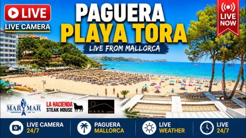 Peguera (Paguera): “Platja de Torà” camera